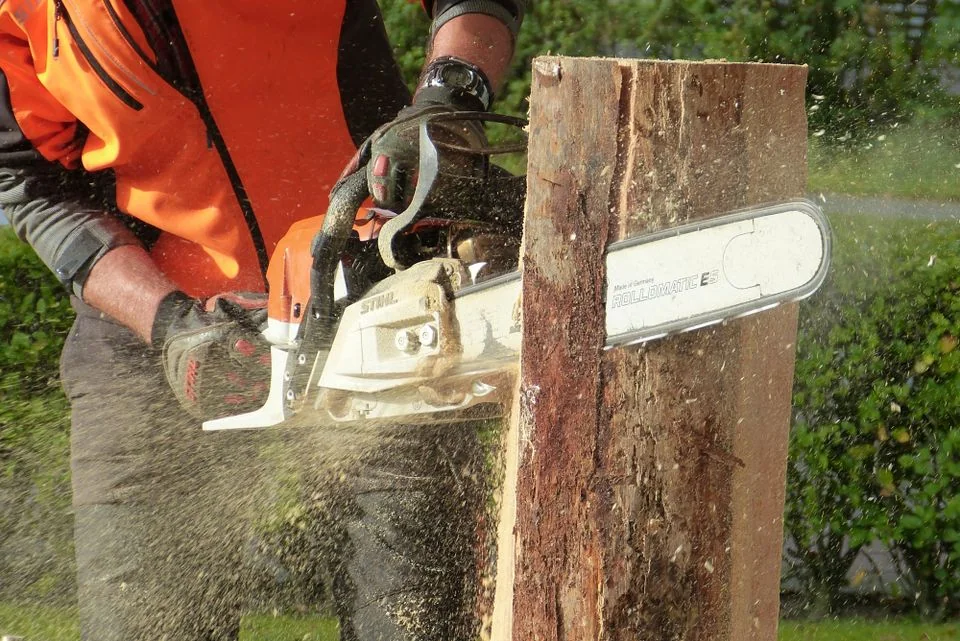 Tree worker cutting a fallen trunk with a chainsaw.